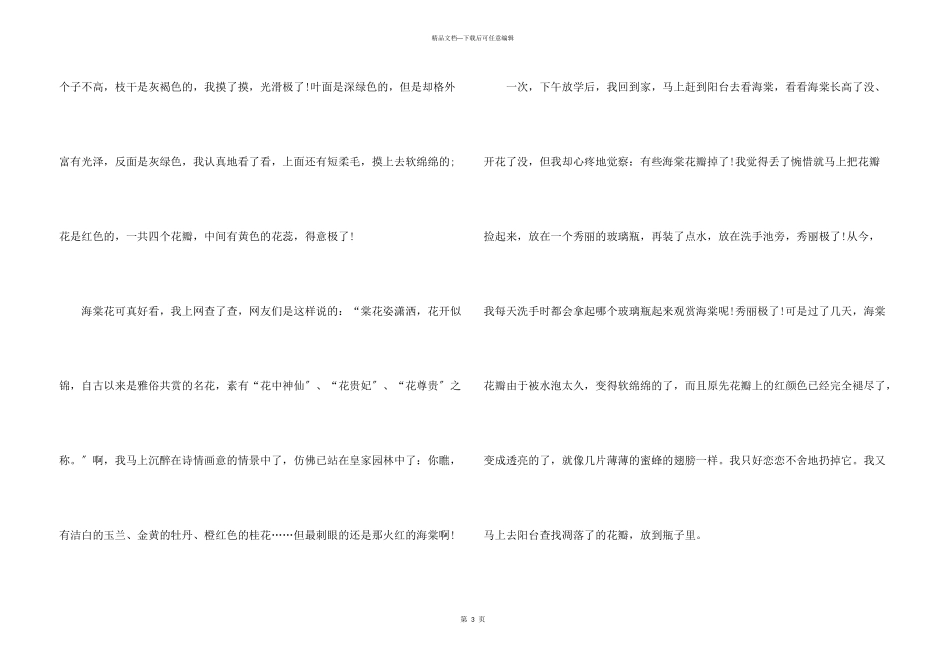 七年级海棠花说明文600字_第3页
