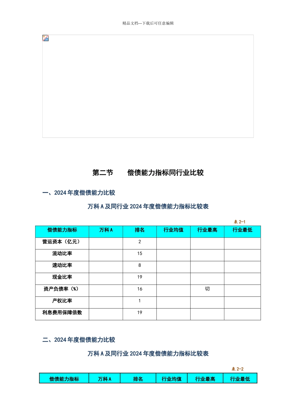 万科偿债能力指标_第2页