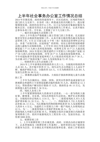 上半年社会事务办公室工作情况总结