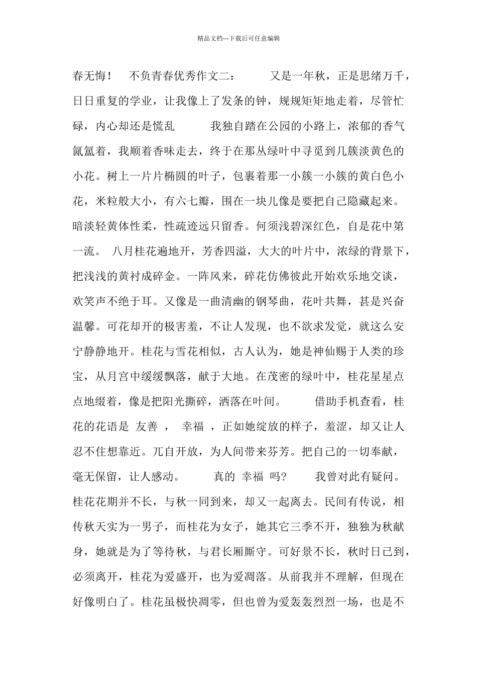 不负青春优秀作文大全_第2页