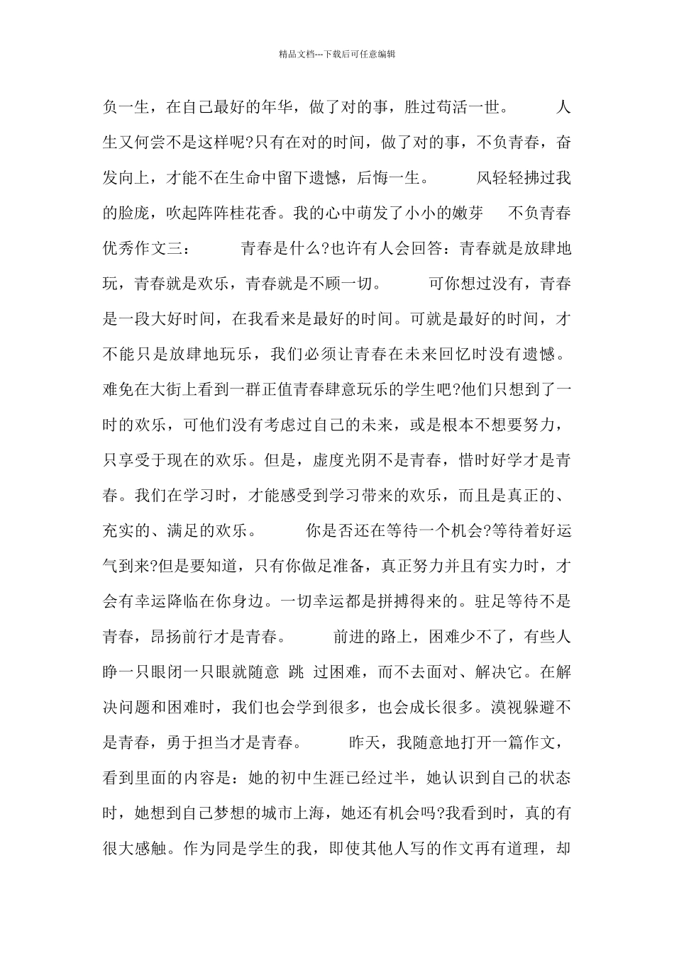 不负青春优秀作文大全_第3页