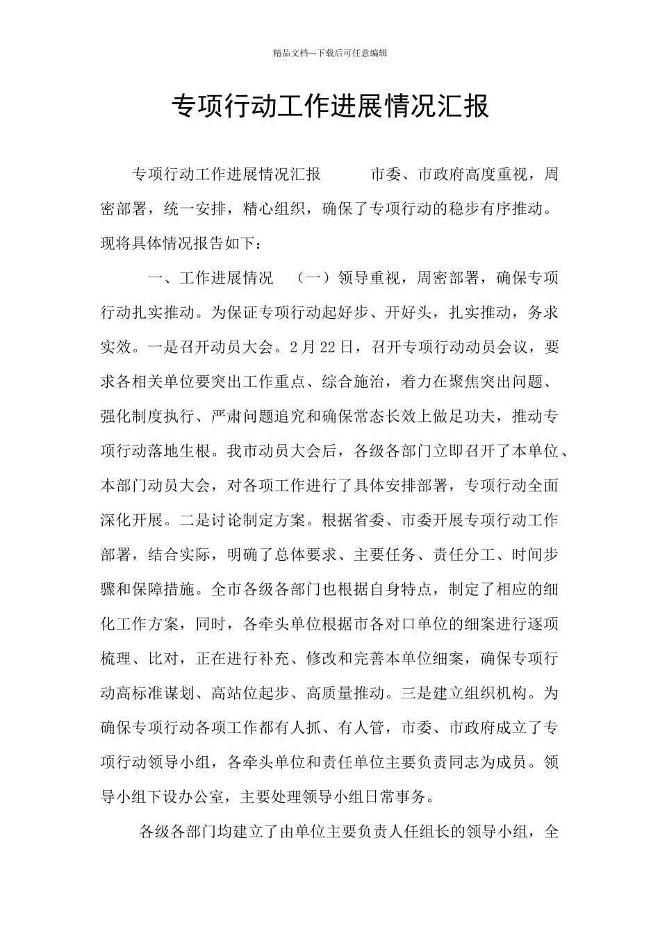 专项行动工作进展情况汇报_第1页