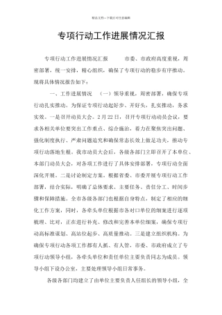 专项行动工作进展情况汇报
