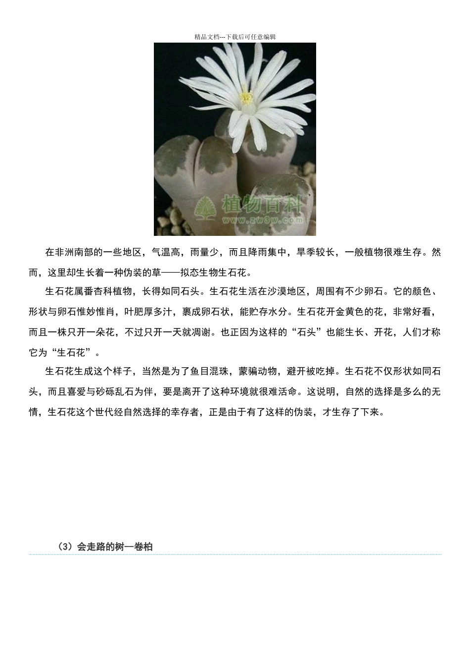 世界上最有趣的植物材料_第2页