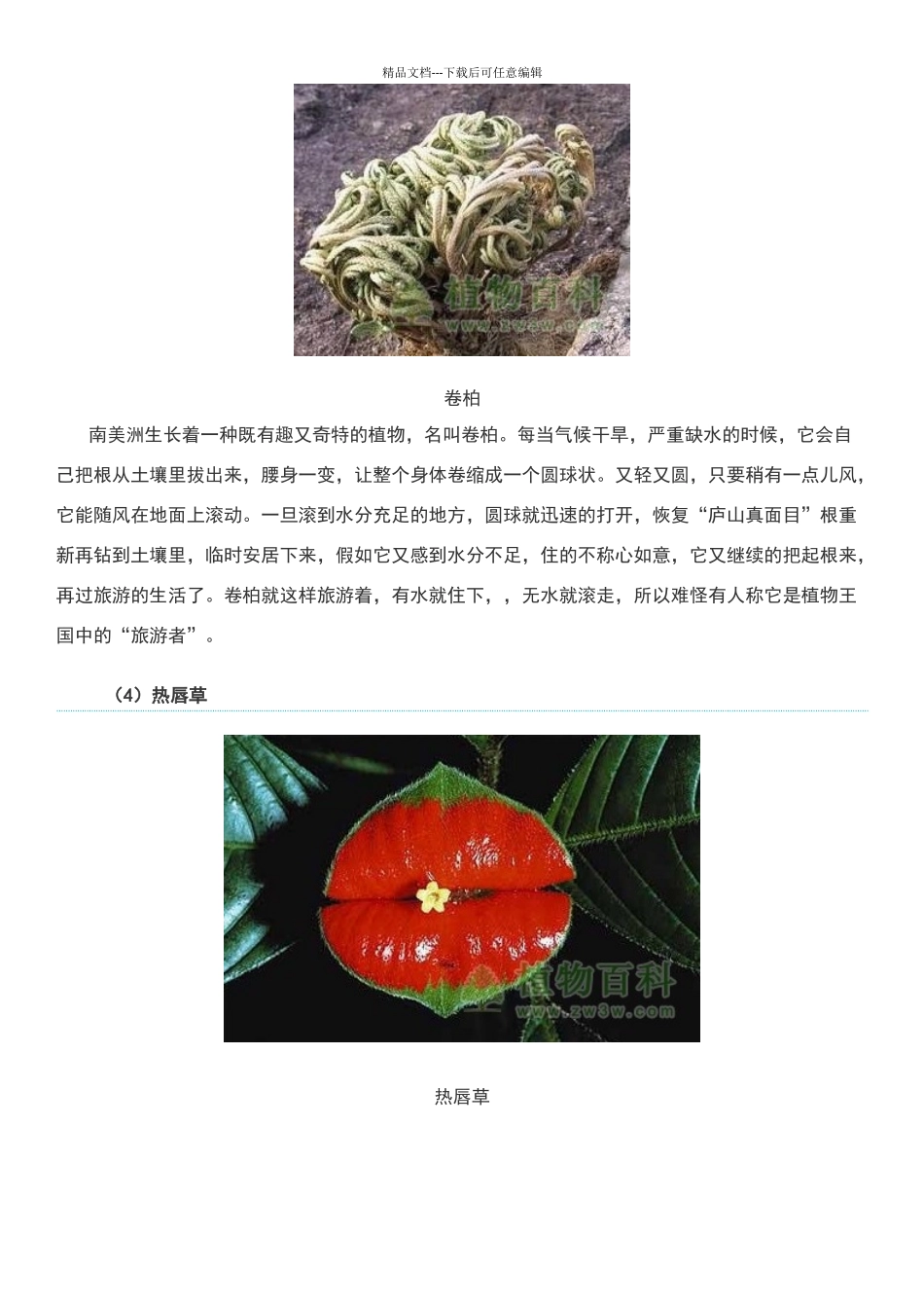 世界上最有趣的植物材料_第3页
