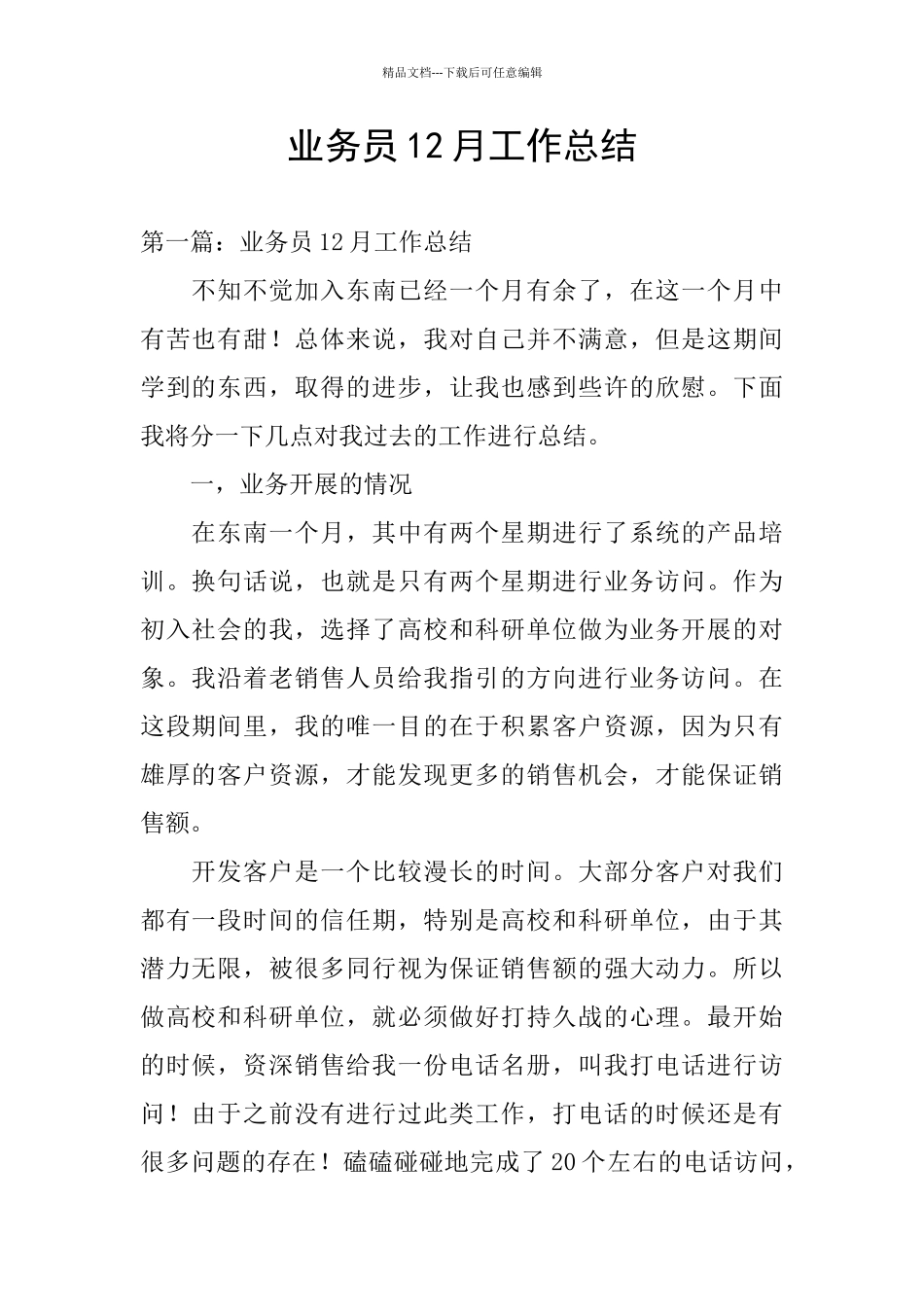 业务员12月工作总结_第1页