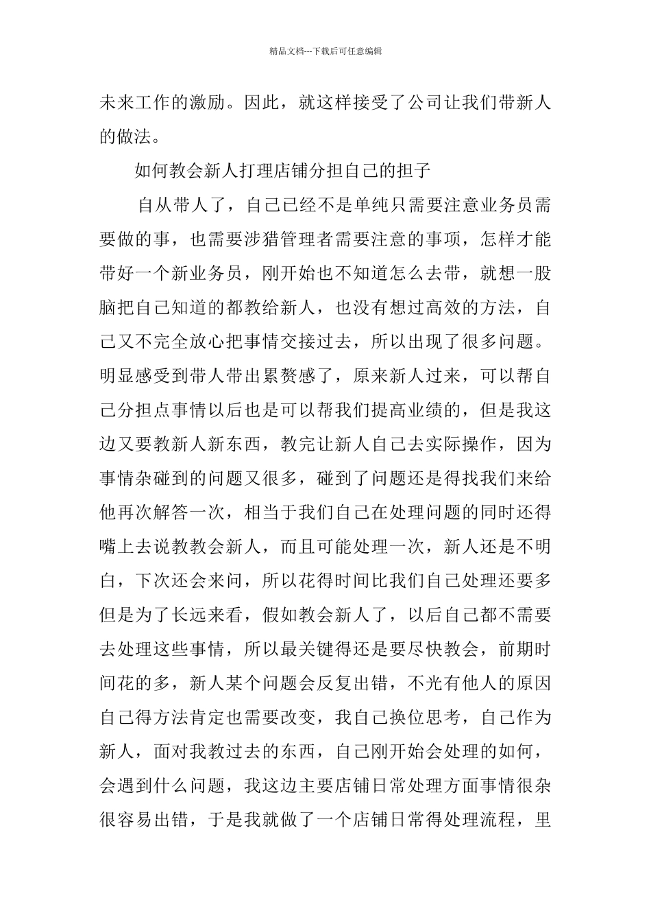 业务员2024年个人工作总结_第2页