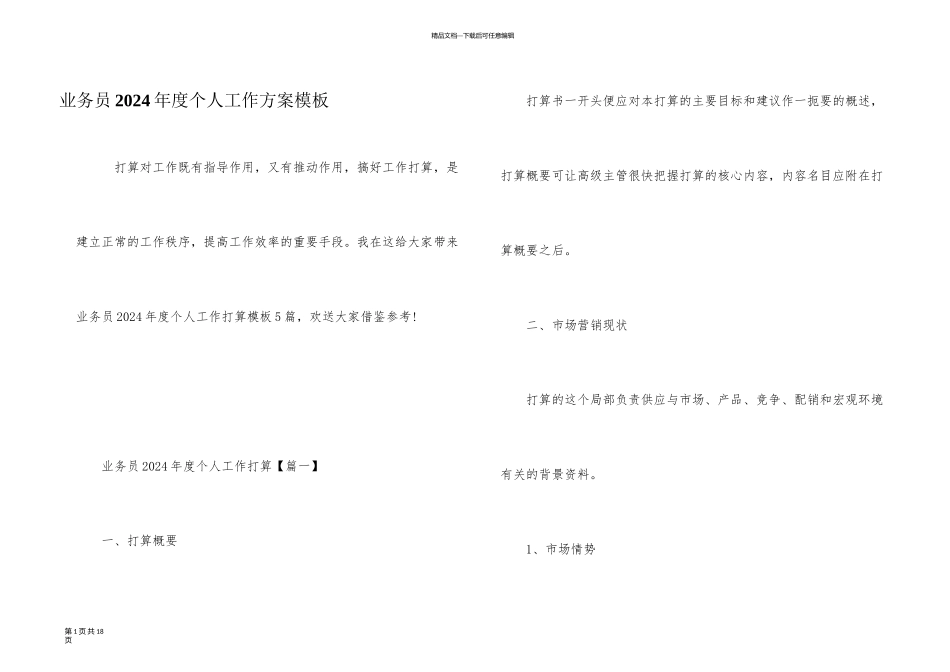 业务员2024年度个人工作计划模板_第1页