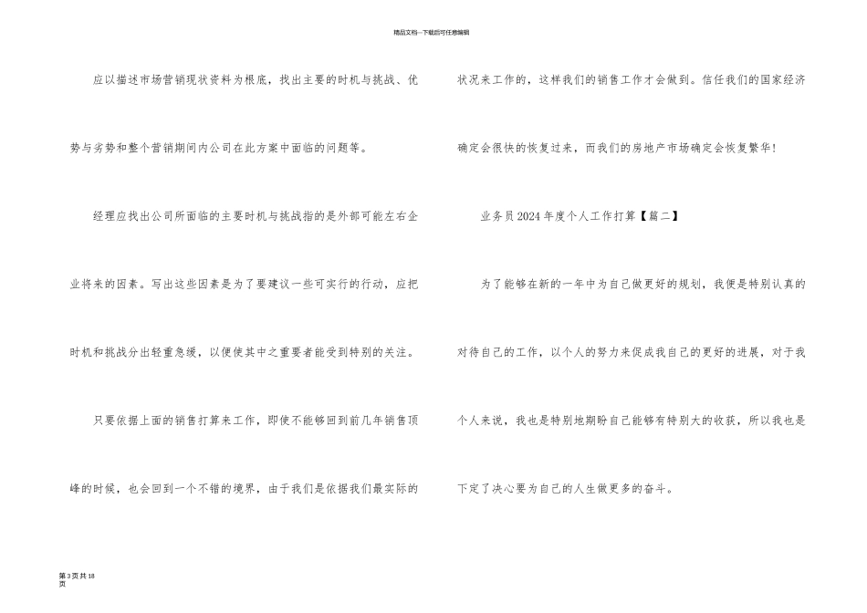 业务员2024年度个人工作计划模板_第3页