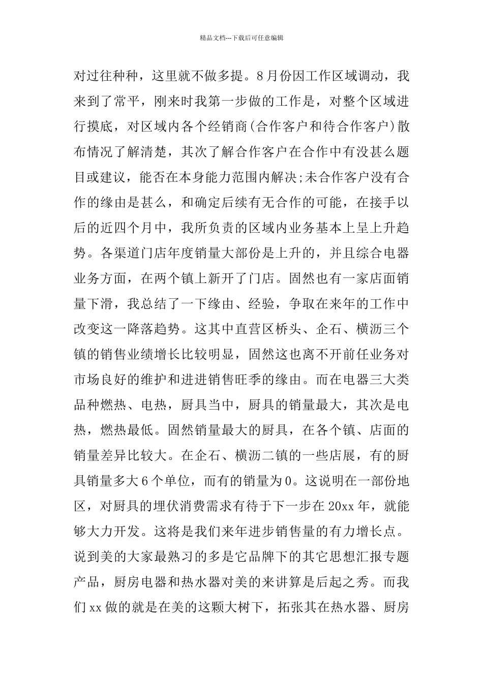 业务员一年的工作总结_第2页