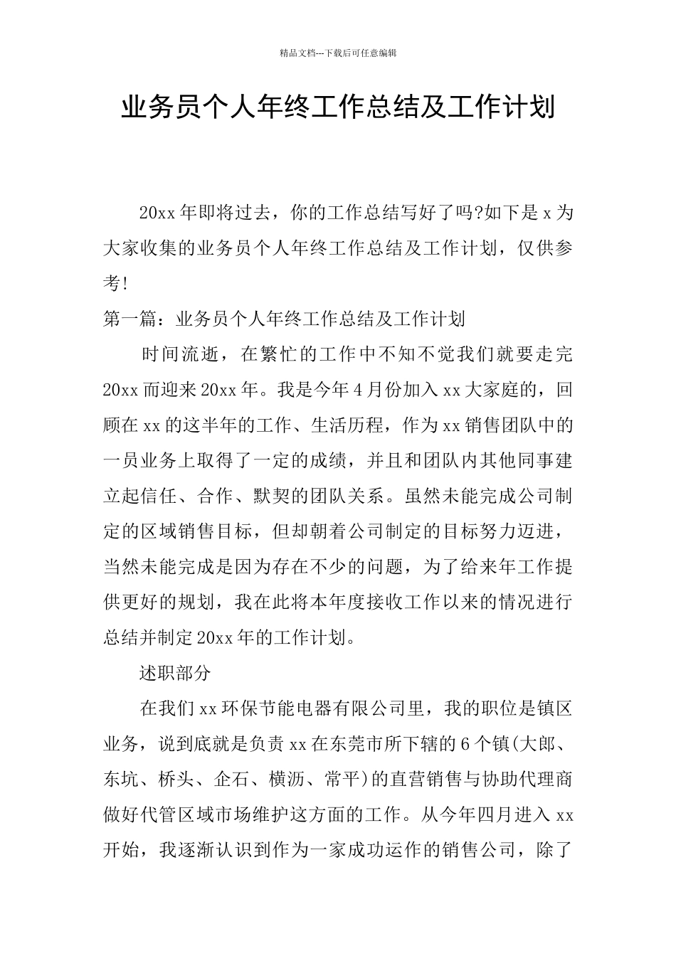 业务员个人年终工作总结及工作计划_第1页