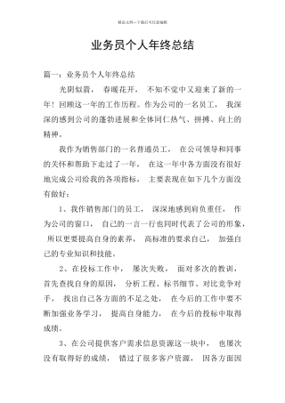 业务员个人年终总结