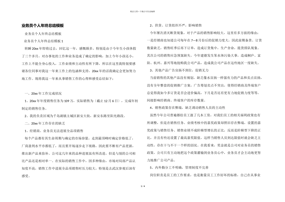 业务员个人年终总结模板_第1页