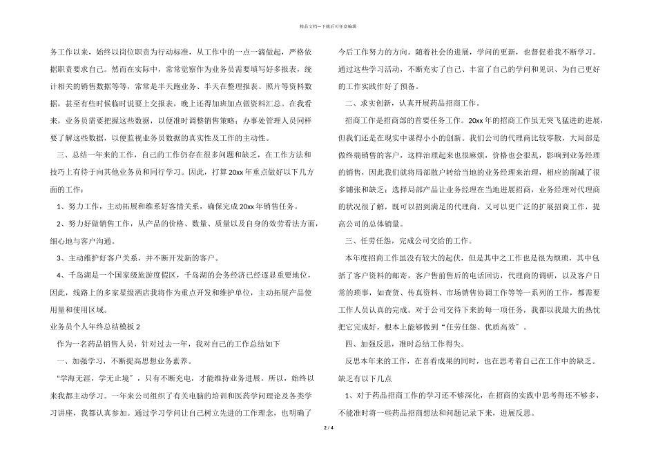 业务员个人年终总结模板_第2页