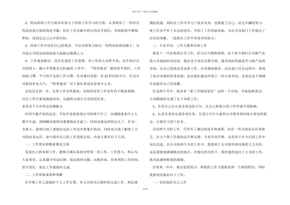业务员个人年终总结模板_第3页
