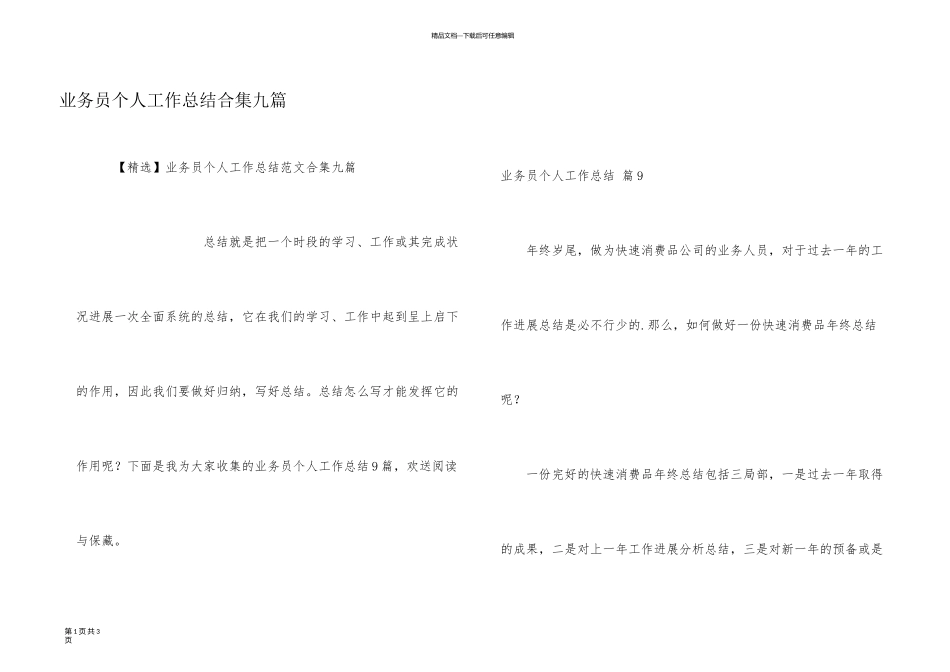 业务员个人工作总结合集九篇_第1页