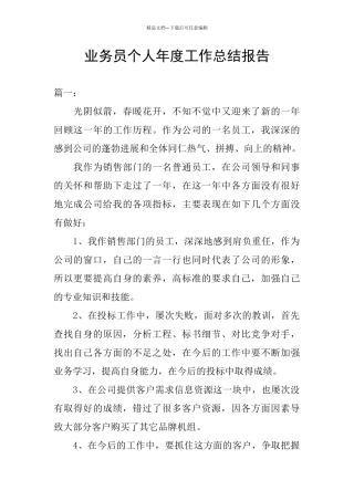 业务员个人年度工作总结报告