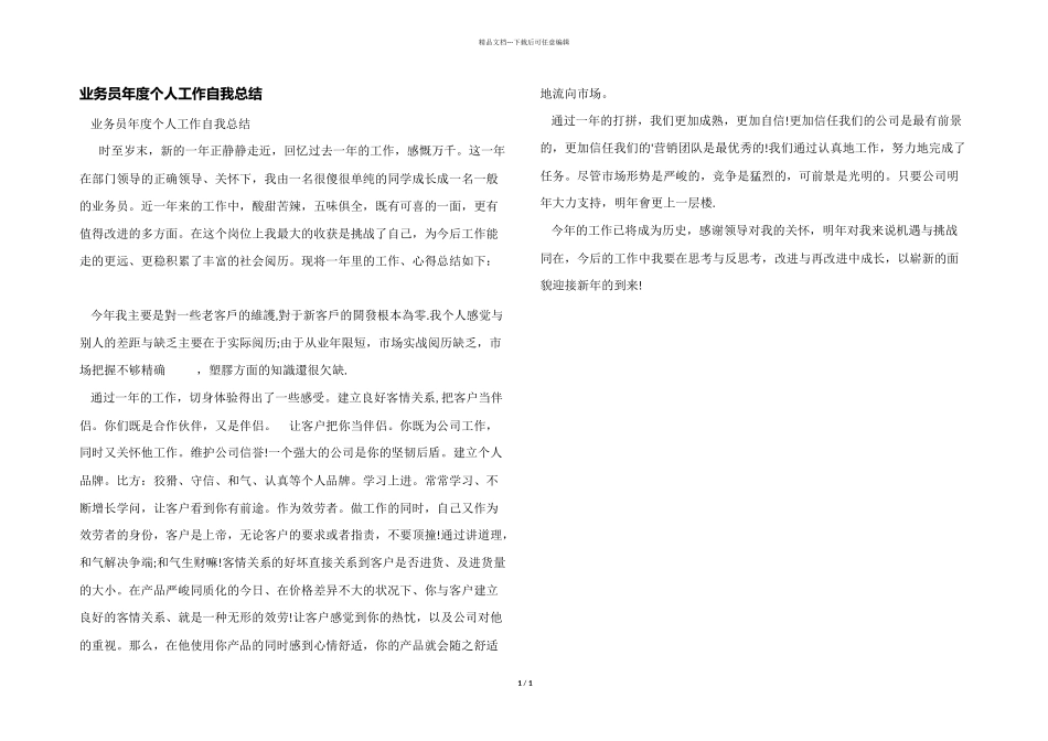 业务员年度个人工作自我总结_第1页