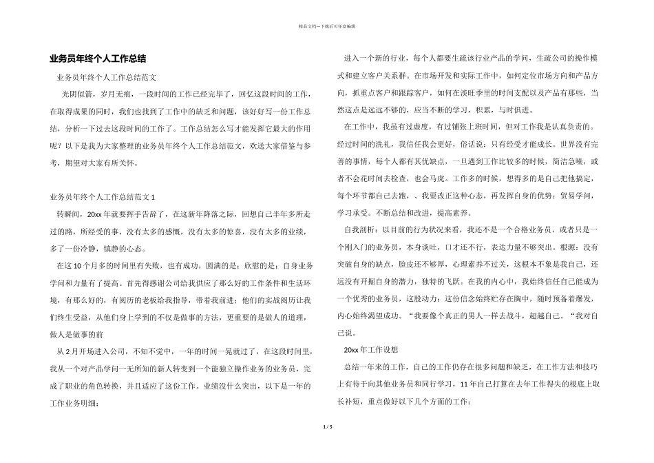 业务员年终个人工作总结_第1页