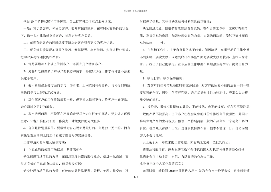 业务员年终个人工作总结_第2页