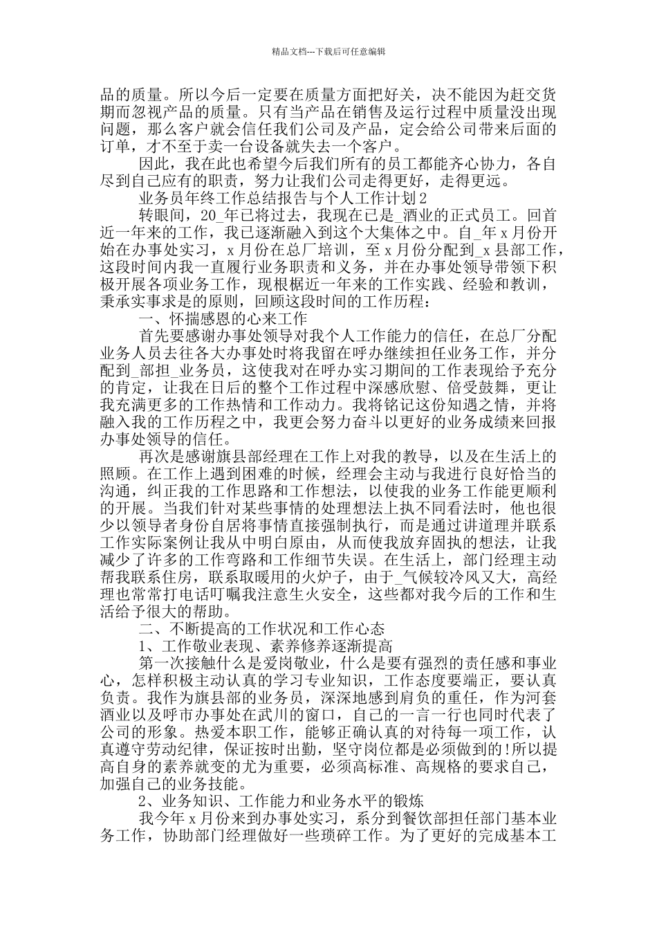 业务员年终工作总结报告与个人工作计划_第2页