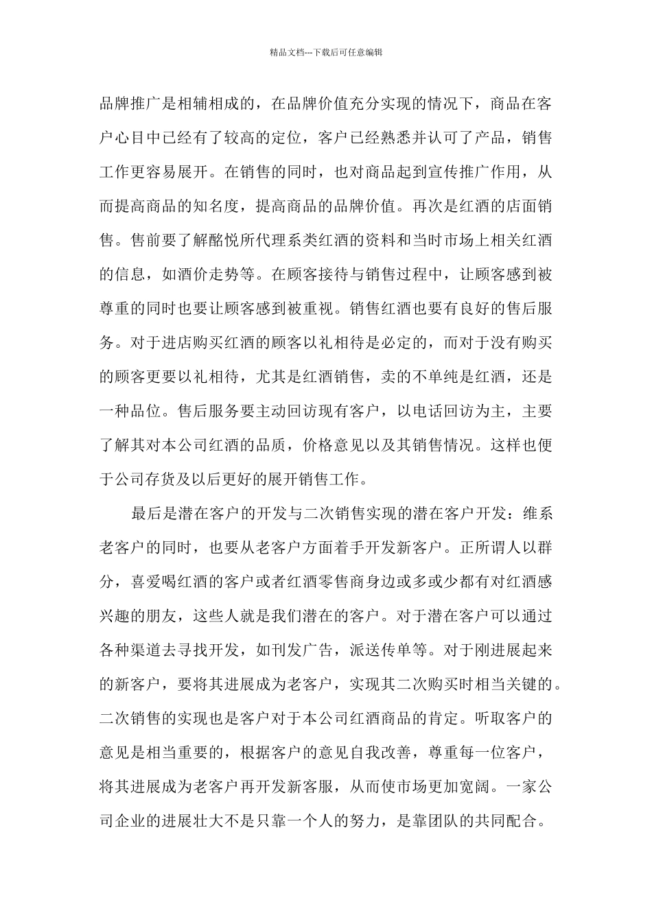 业务员年终工作总结范文5篇_第2页