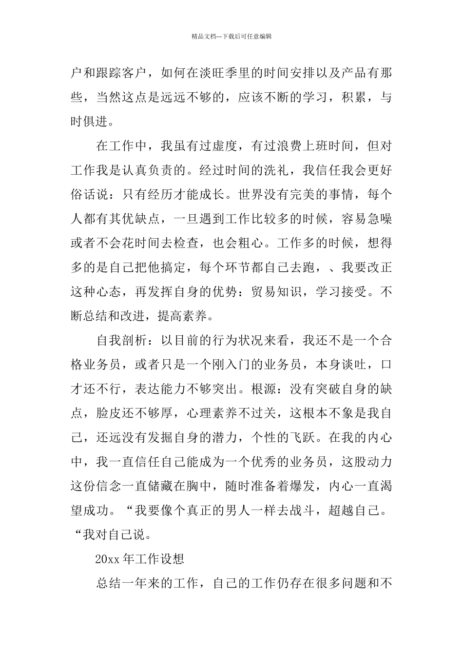 业务员年终个人的工作总结范文_第2页