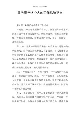 业务员年终个人的工作总结范文