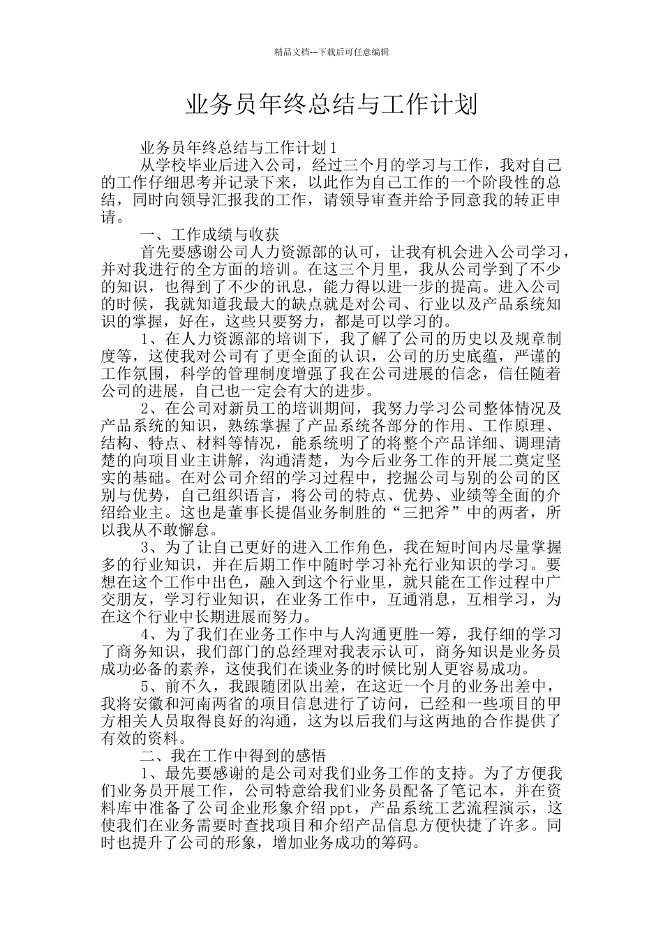 业务员年终总结与工作计划_第1页
