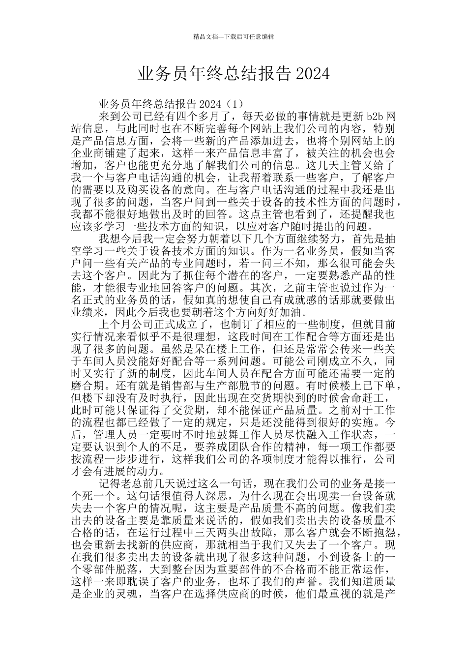 业务员年终总结报告2024_第1页