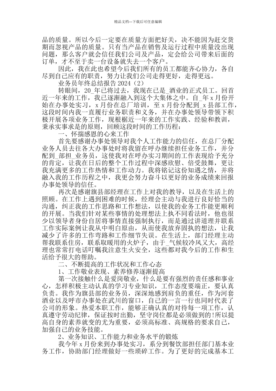 业务员年终总结报告2024_第2页