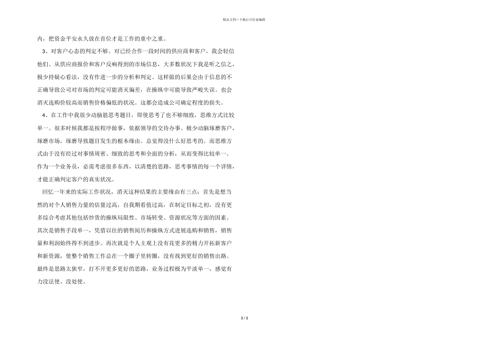 业务员年终工作总结_第2页