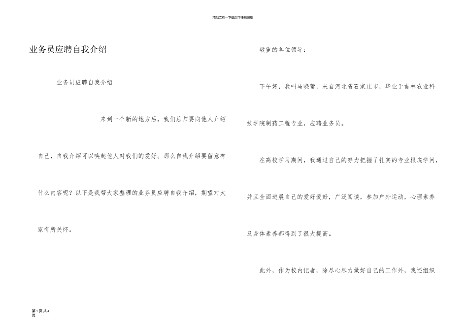 业务员应聘自我介绍_第1页