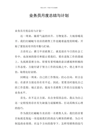 业务员月度总结与计划