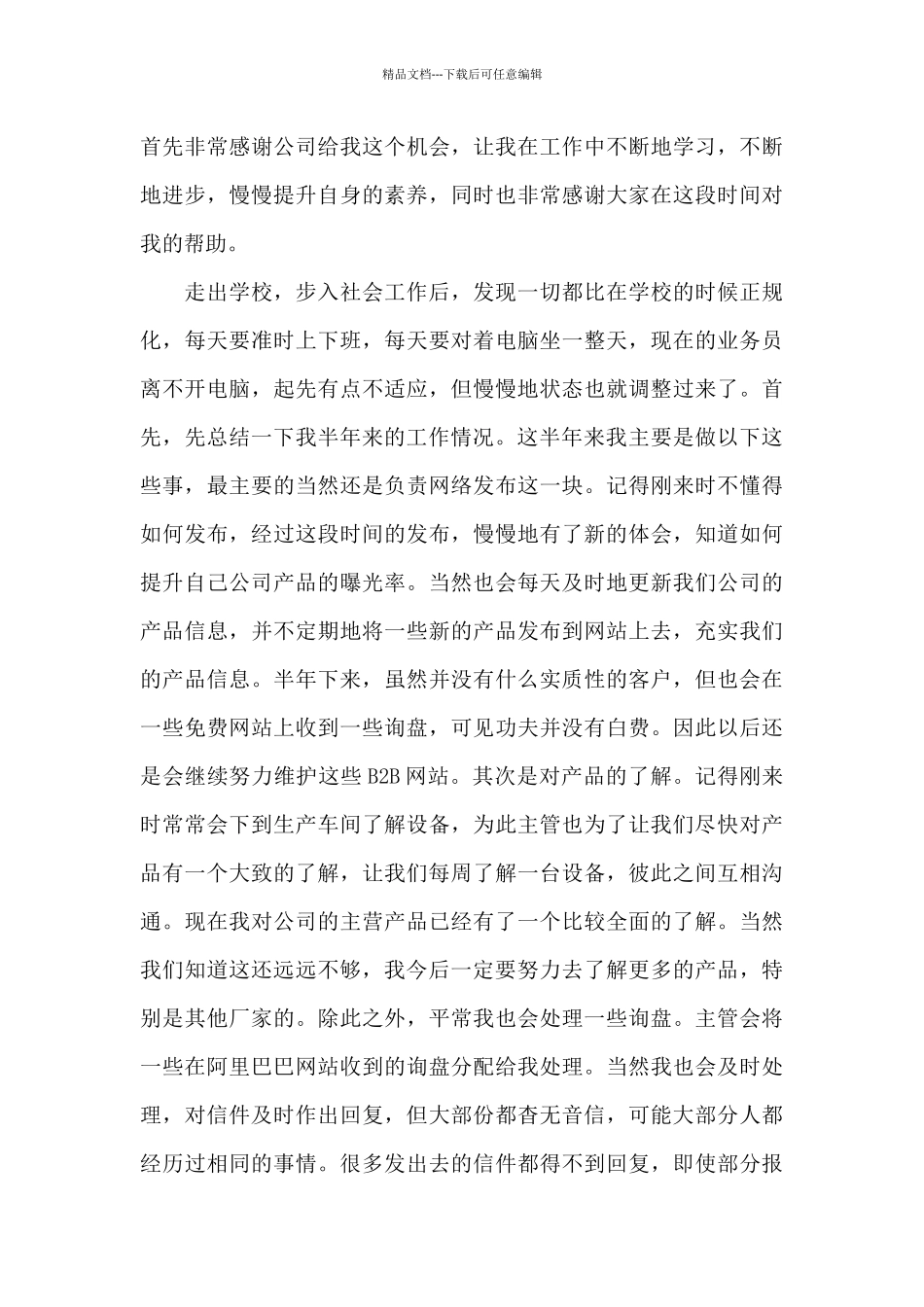 业务员每月个人工作总结_第3页