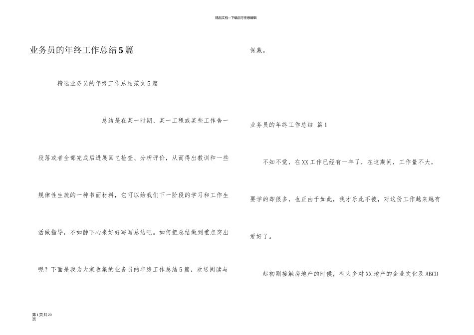 业务员的年终工作总结5篇_第1页