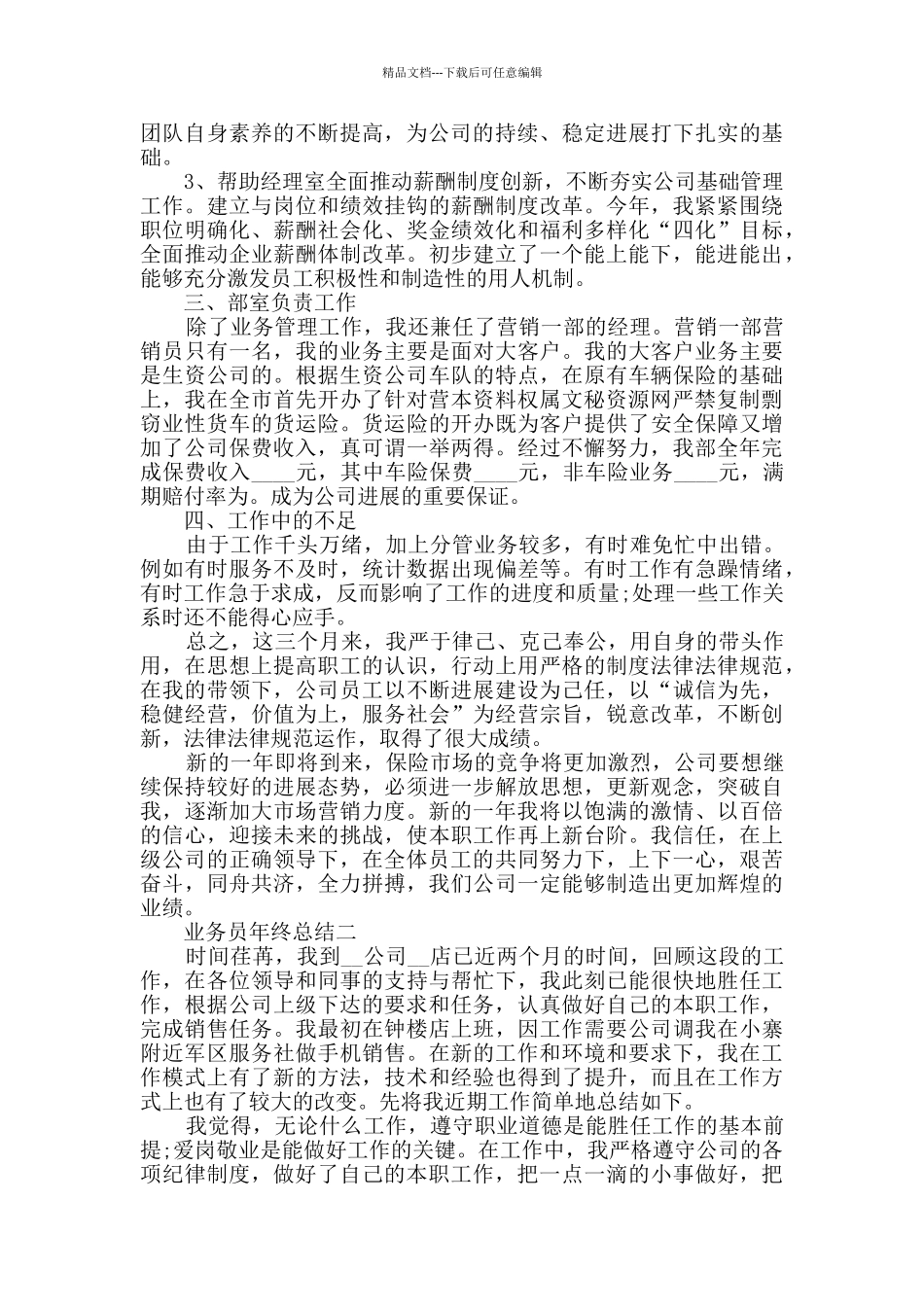 业务员年终总结范文_第2页