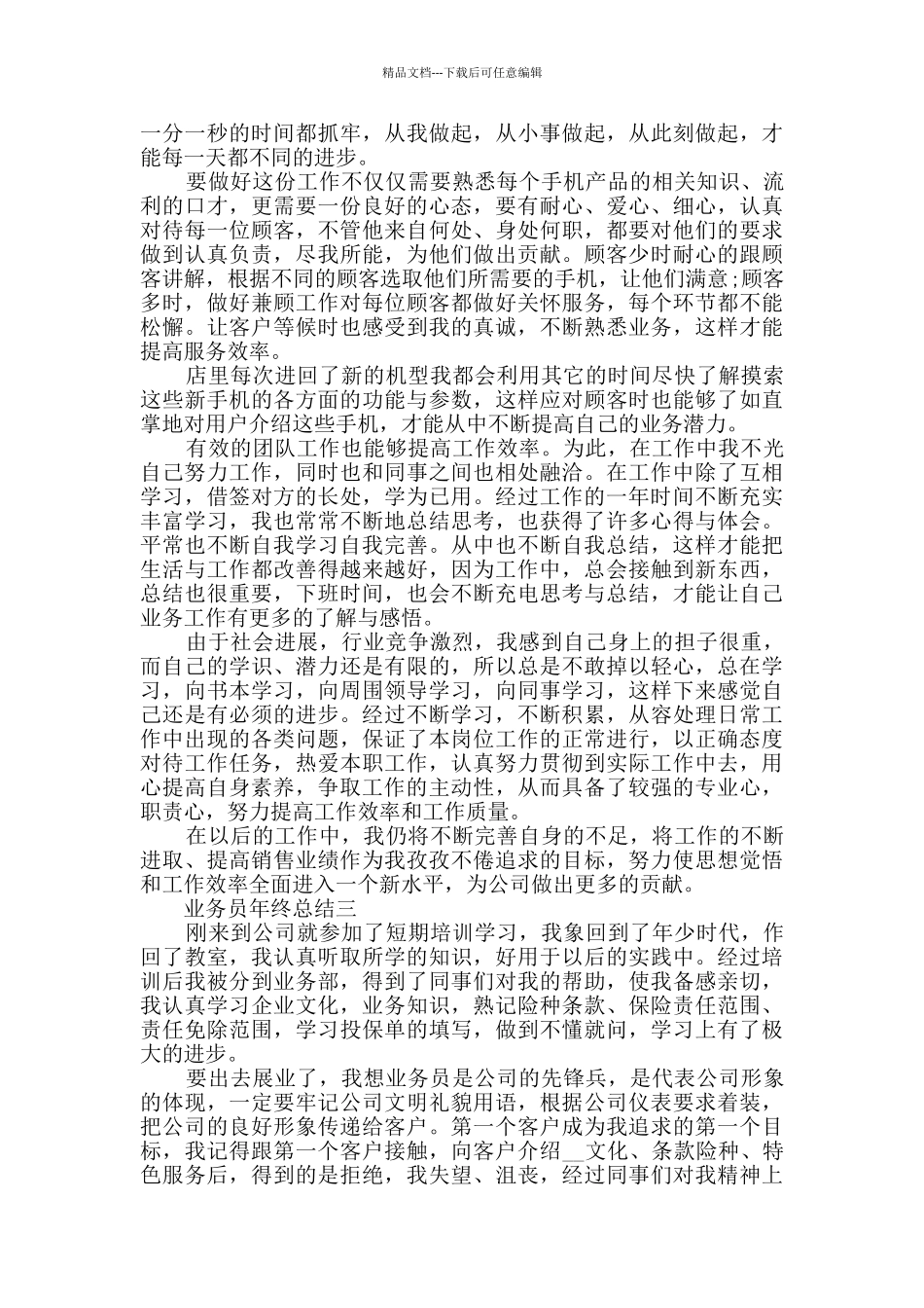 业务员年终总结范文_第3页