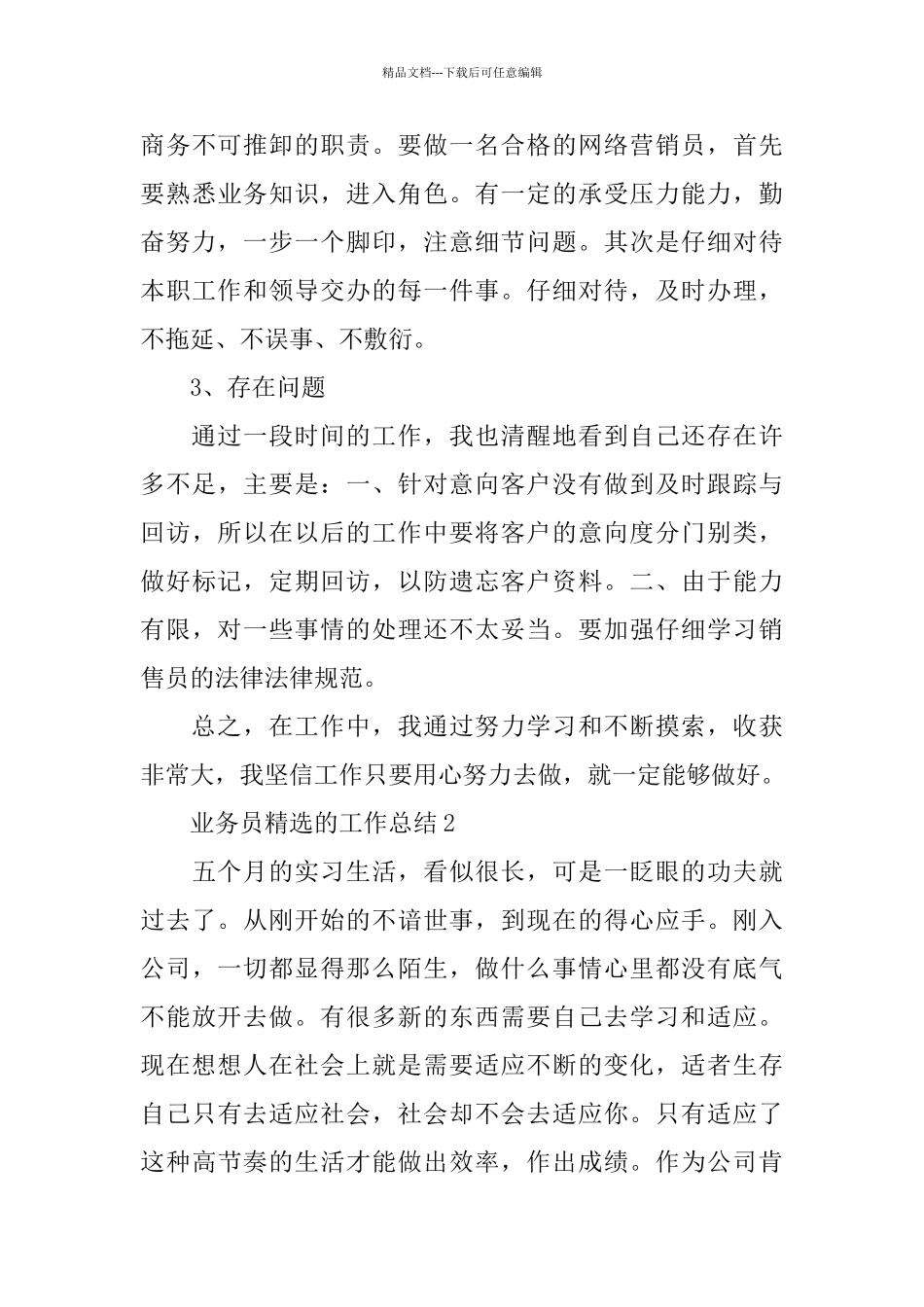 业务员精选的工作总结_第3页