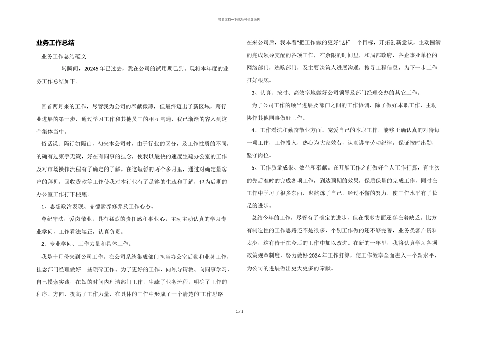 业务工作总结_第1页