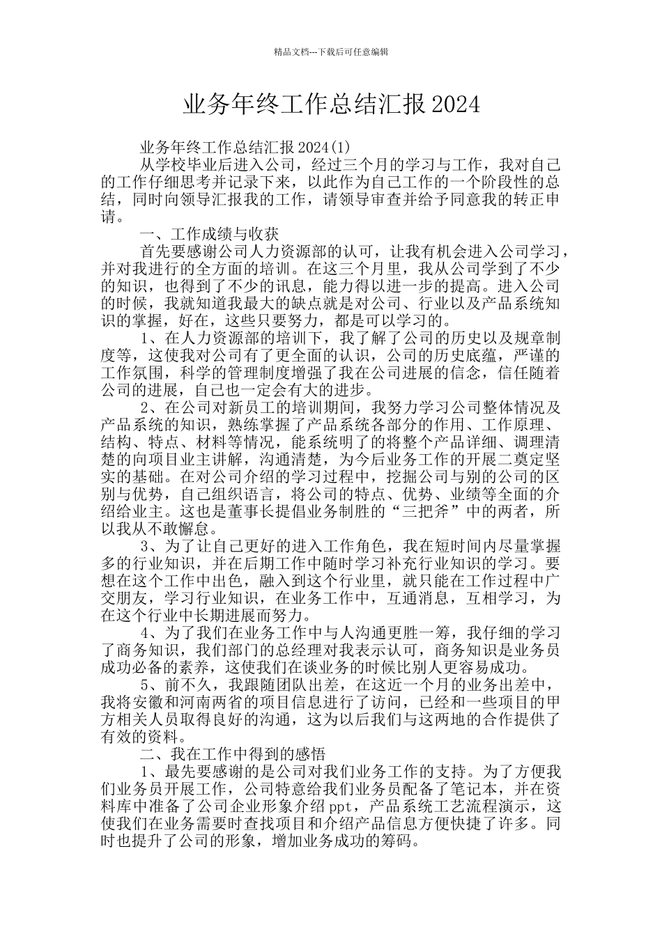 业务年终工作总结汇报2024_第1页