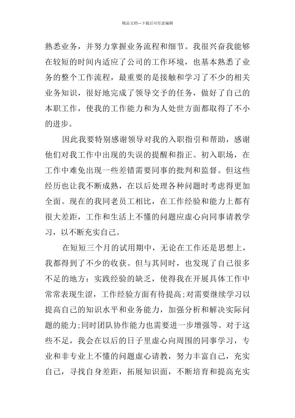 业务员试用期个人工作总结_第2页