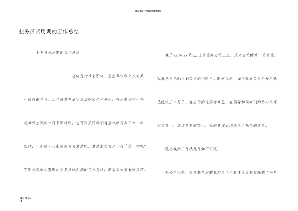 业务员试用期的工作总结_第1页