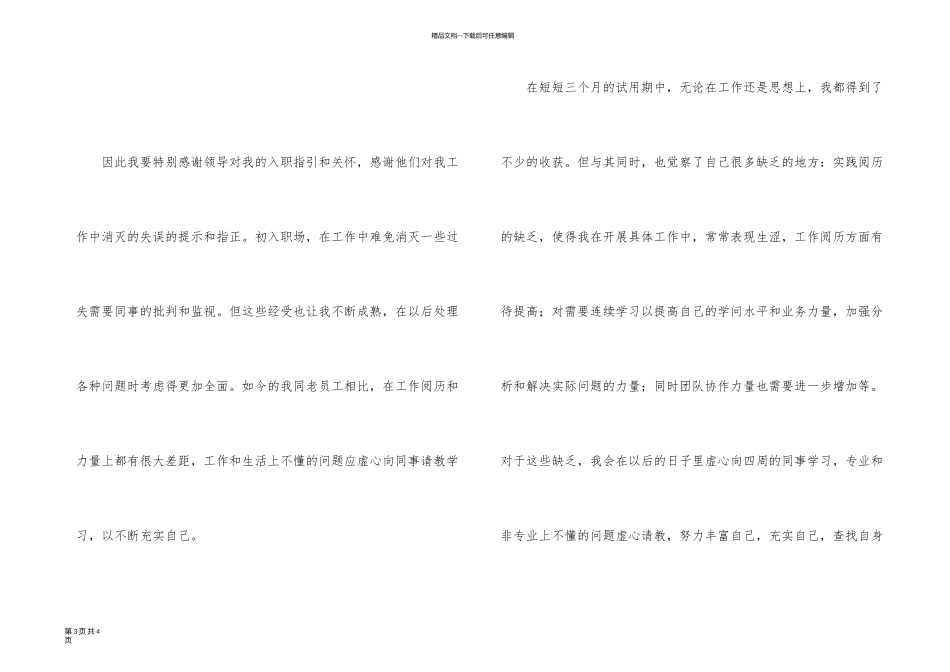 业务员试用期的工作总结_第3页