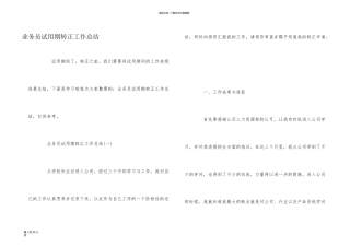 业务员试用期转正工作总结