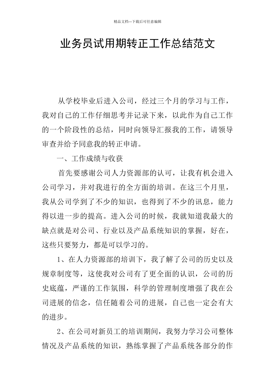 业务员试用期转正工作总结范文_第1页