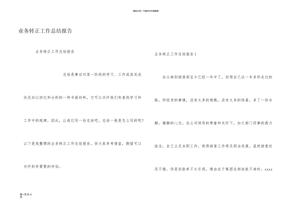 业务转正工作总结报告_第1页