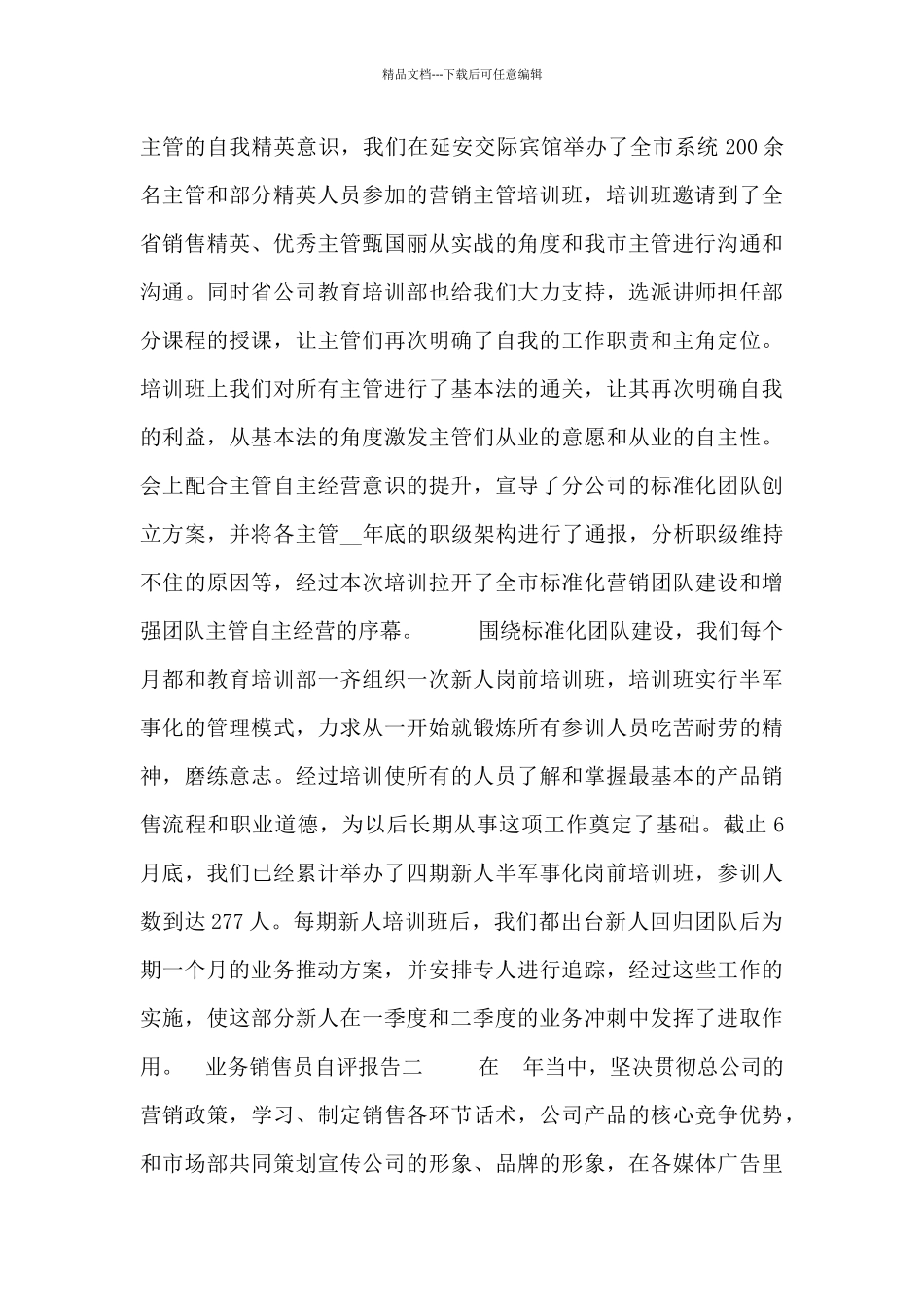 业务销售员自评报告_第3页