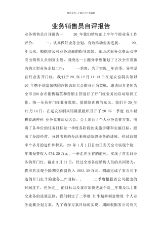 业务销售员自评报告