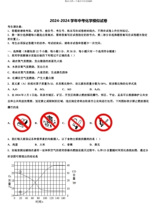 东莞市重点中学中考化学最后冲刺模拟试卷含解析